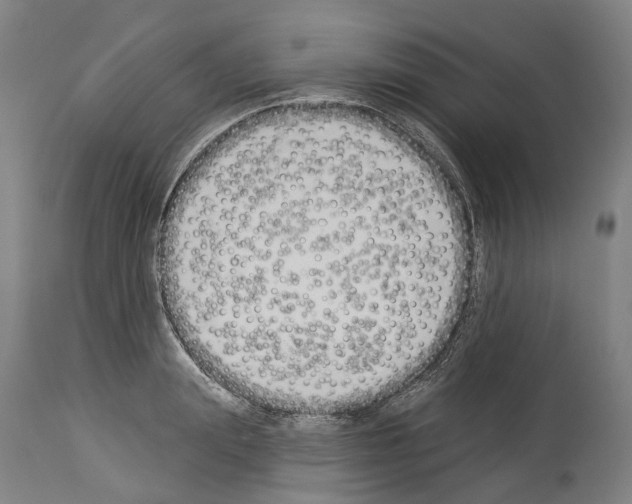 X0000114030847200911131247