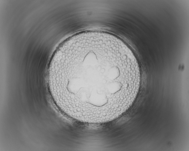 X0000114030848200911131247