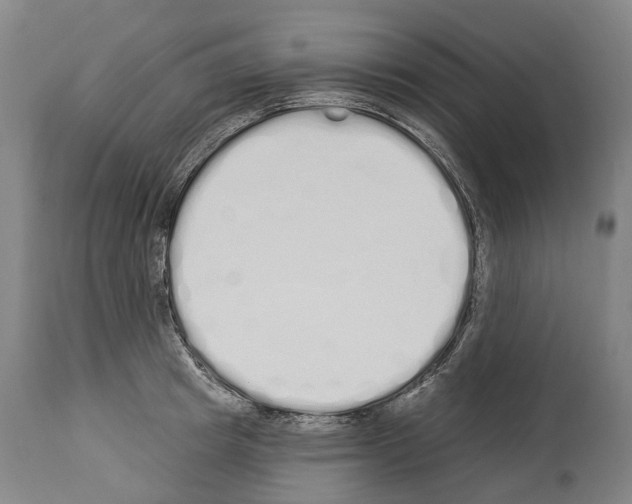 X0000114030849200911131247