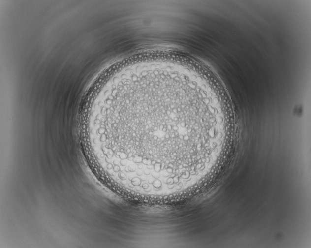 X0000114030851200911131247