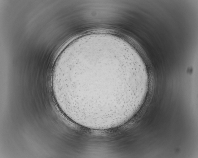 X0000114030852200911131247