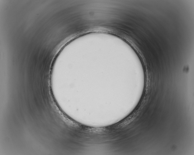 X0000114030853200911131247