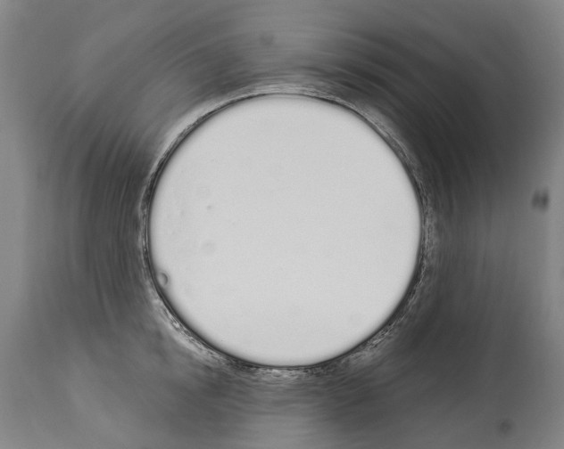 X0000114030854200911131247