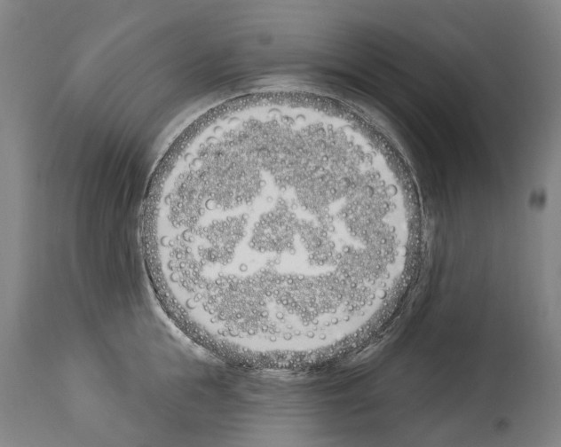 X0000114030855200911131247