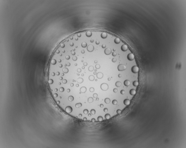 X0000114030856200911131247