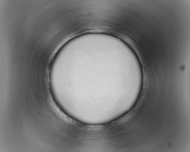 X0000114030859200911131247