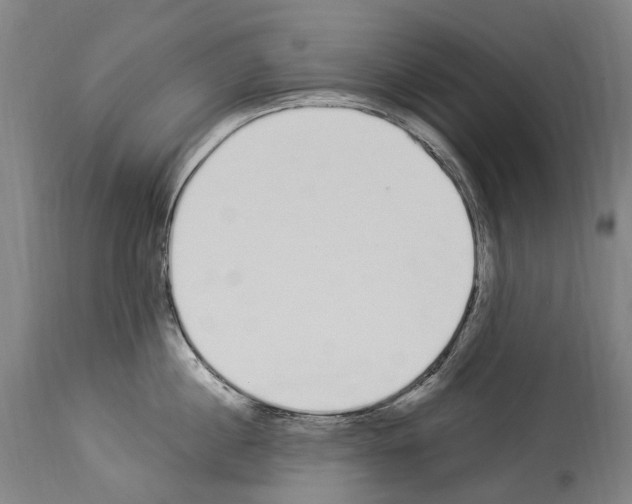 X0000114030860200911131247