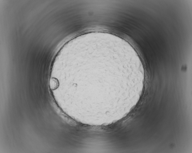 X0000114030861200911131247