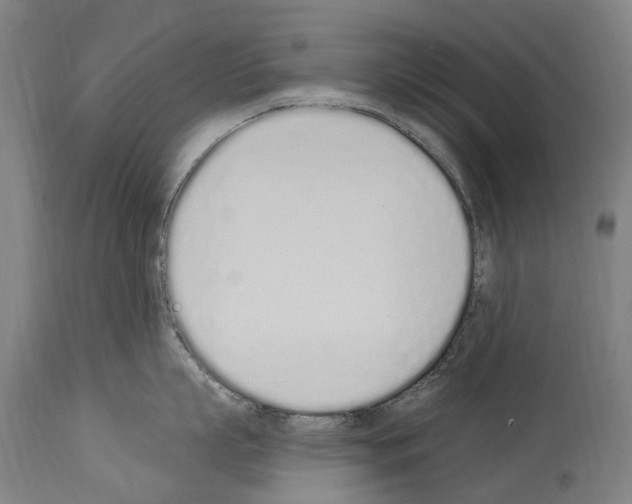 X0000114030863200911131247