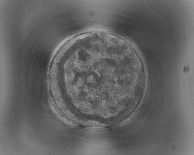 X0000114030864200911131247