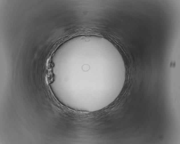 X0000114030865200911131247