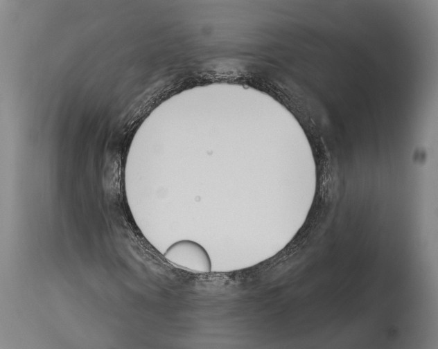 X0000114030866200911131247