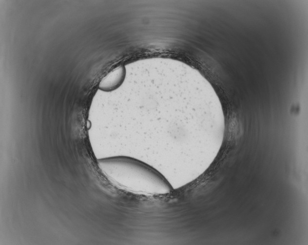 X0000114030868200911131247