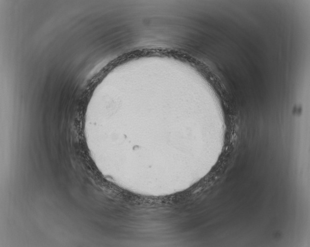 X0000114030871200911131247