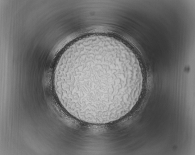 X0000114030874200911131247