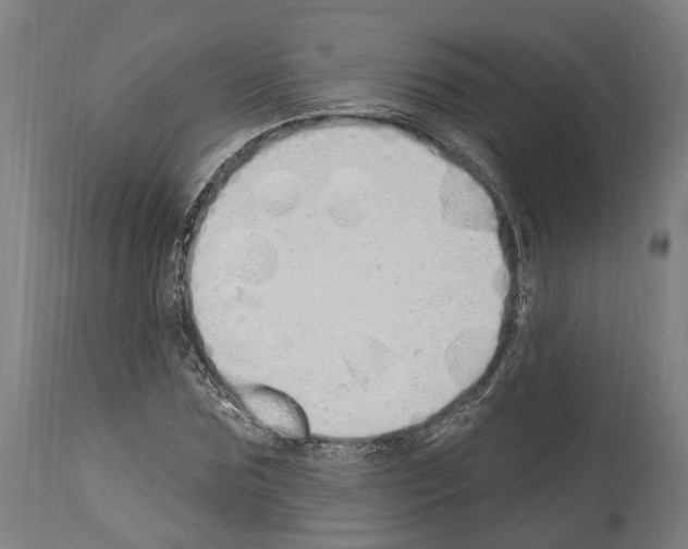 X0000114030875200911131247