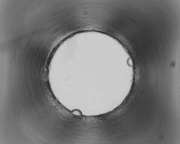 X0000114030876200911131247