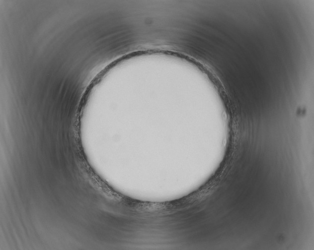 X0000114030879200911131247