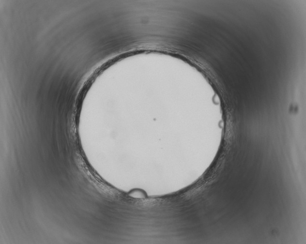 X0000114030880200911131247