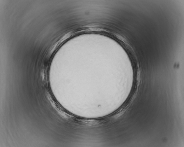 X0000114030881200911131247