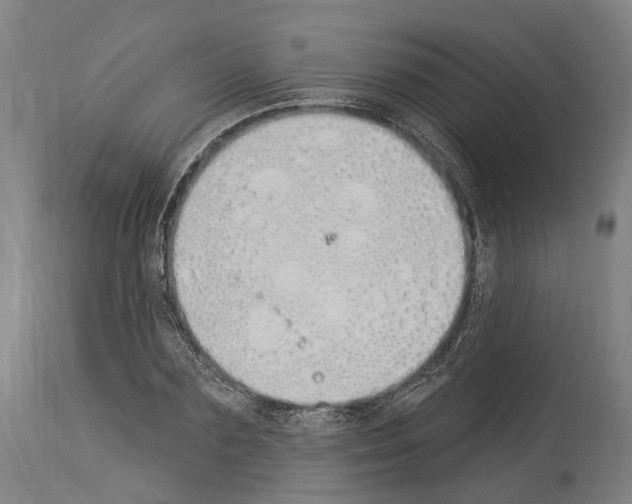 X0000114030883200911131247