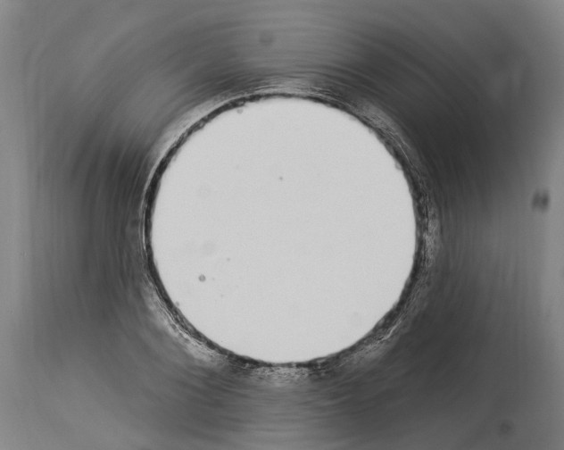 X0000114030884200911131247