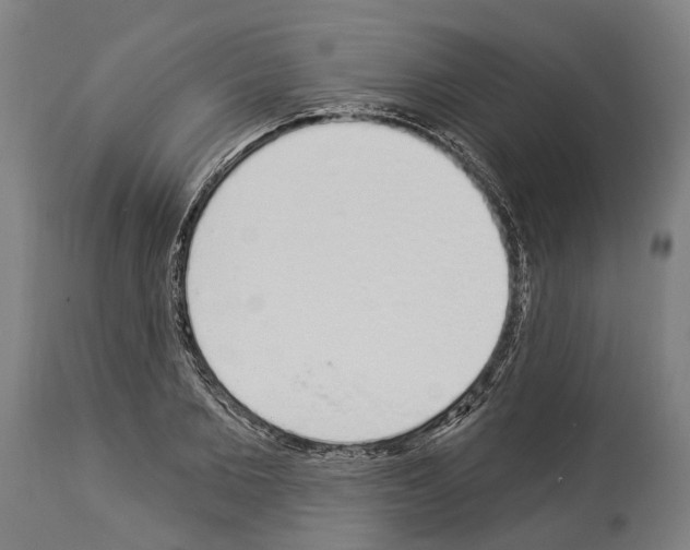 X0000114030885200911131247