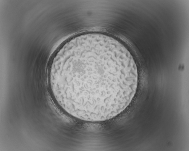 X0000114030886200911131247