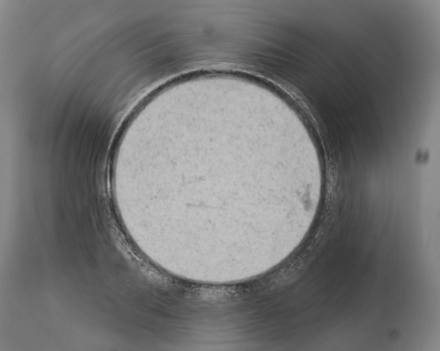 X0000114030887200911131247