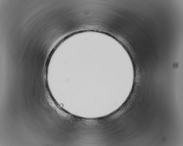 X0000114030888200911131247