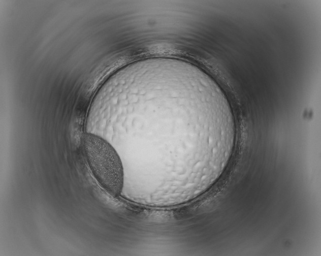 X0000114030889200911131247