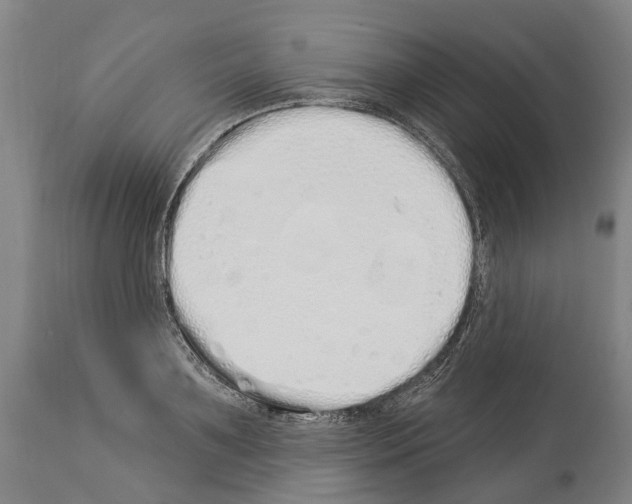 X0000114030891200911131246