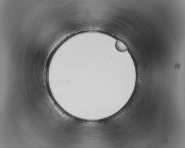 X0000114030894200911131246