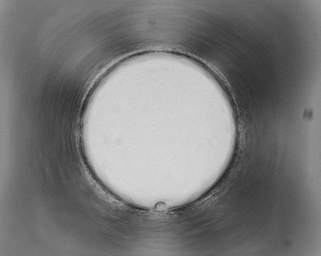 X0000114030895200911131246