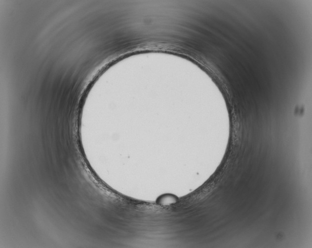 X0000114030896200911131246