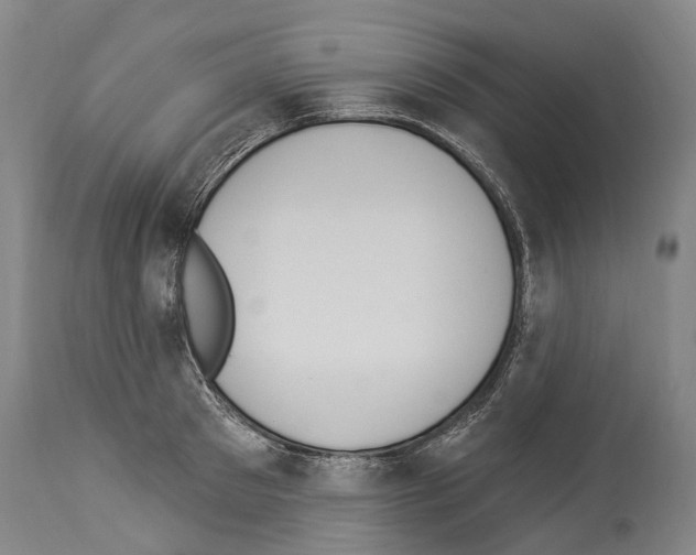 X0000114030897200911131246