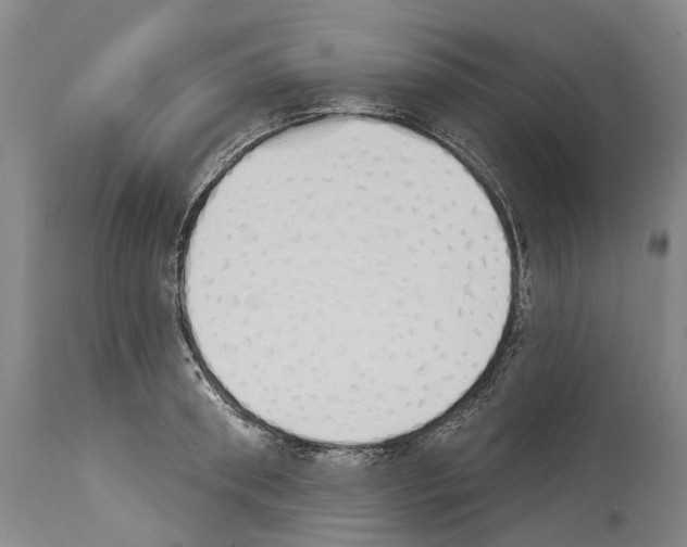 X0000114030898200911131246