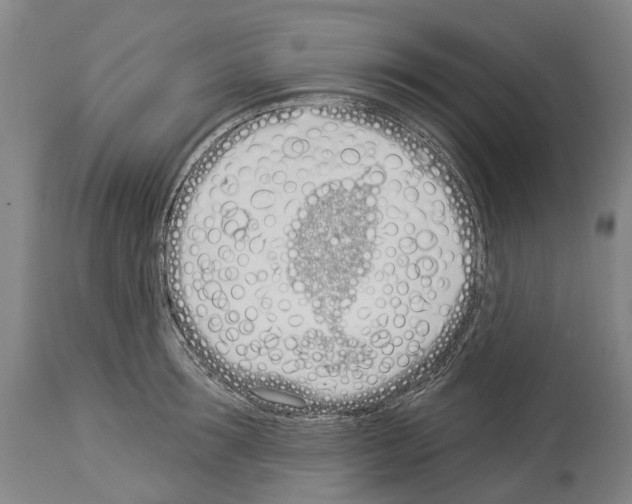 X0000114030899200911131246