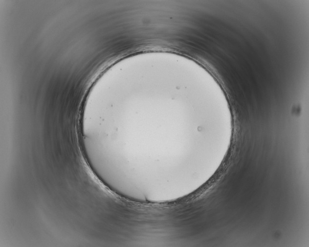 X0000114030901200911131246