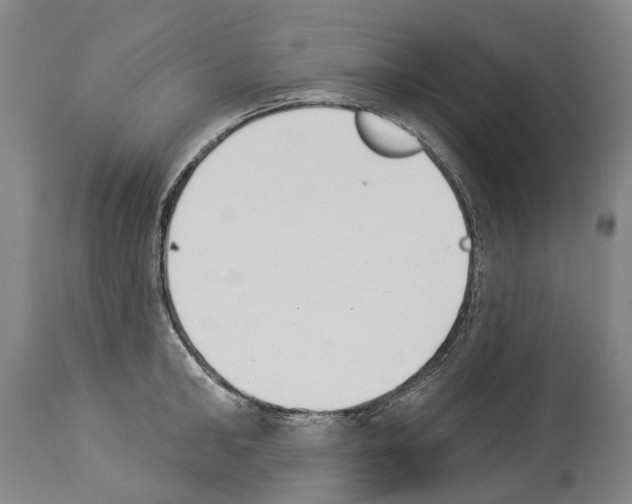 X0000114030902200911131246