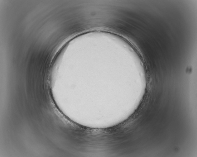 X0000114030903200911131246