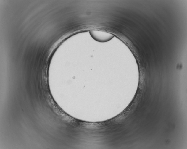 X0000114030904200911131246