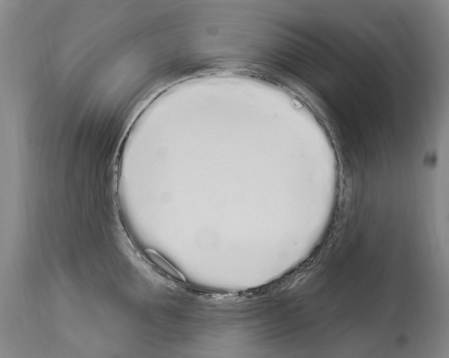 X0000114030907200911131246