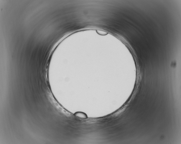 X0000114030908200911131246