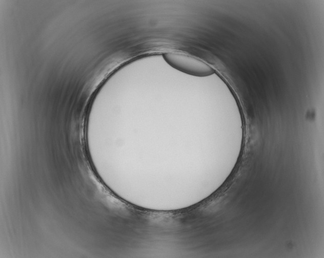 X0000114030909200911131246