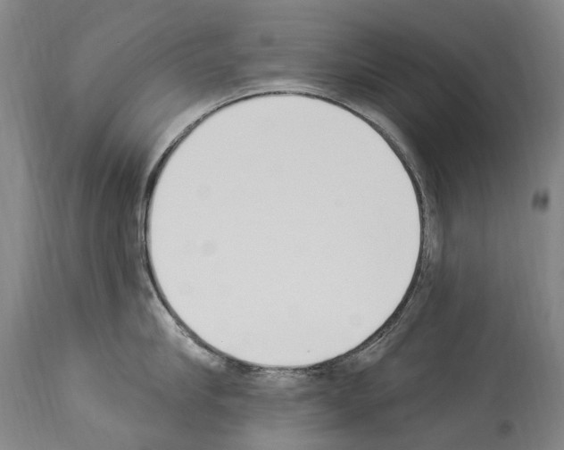 X0000114030910200911131246