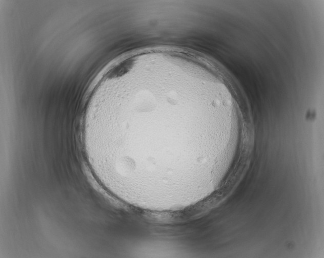 X0000114030911200911131246