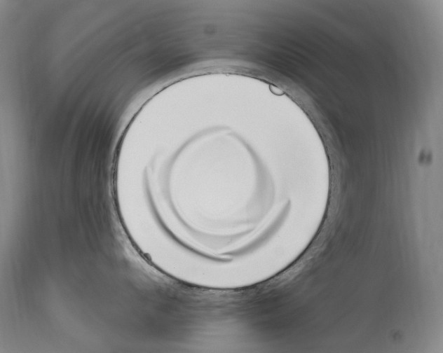 X0000114030912200911131246