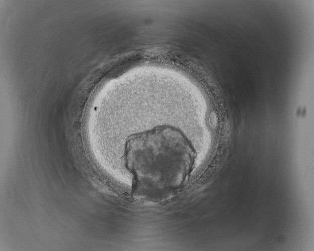 X0000114030913200911131245