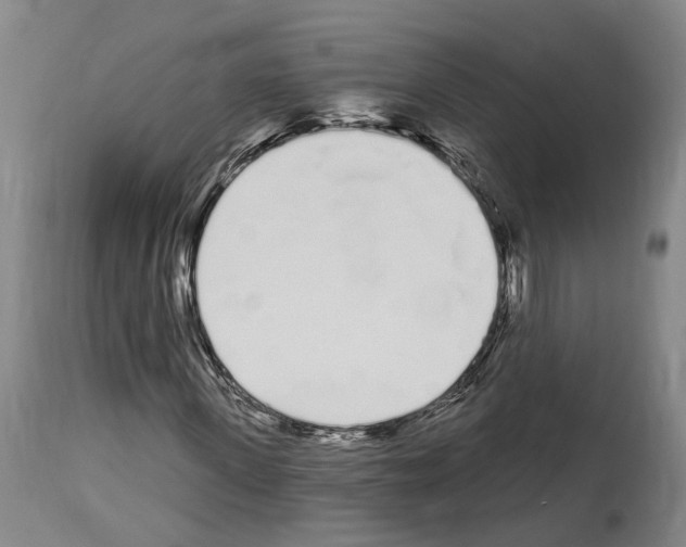 X0000114030915200911131245